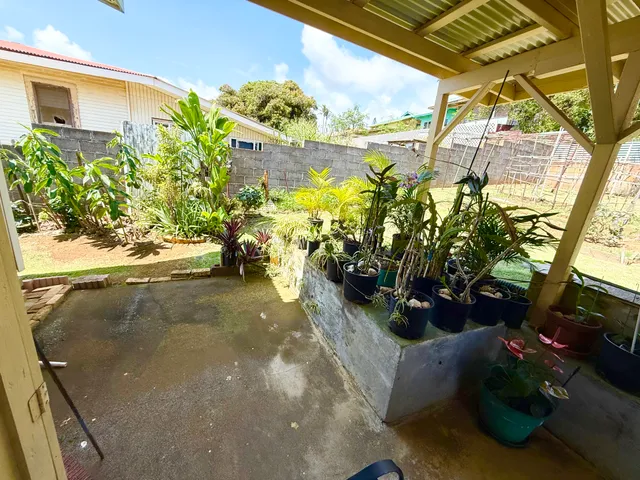 a view of a potted plant in front of a house