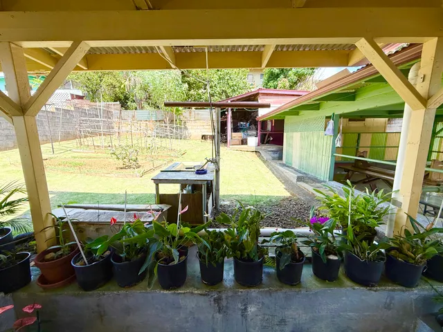 a potted plant sitting in front of a building