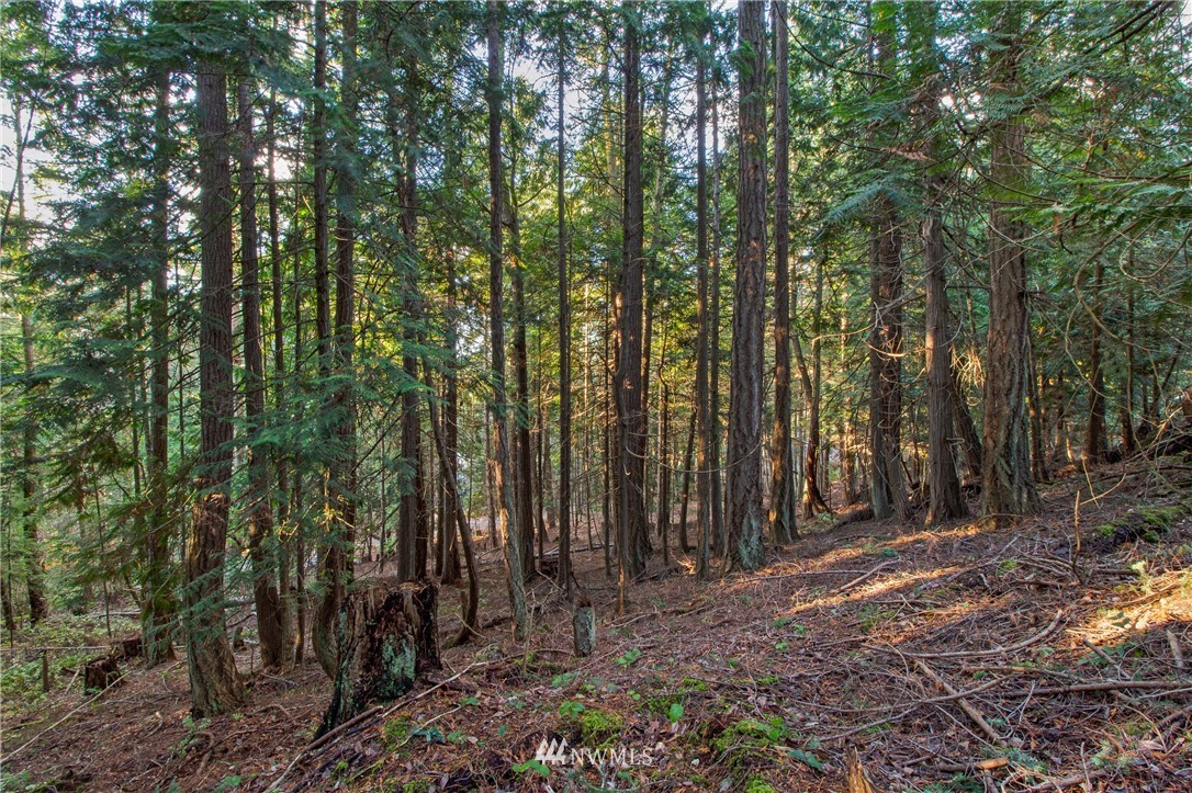 0 Smugglers Cove Road Friday Harbor, WA 98250 - Photo 14 of 16 Gallery Image 14