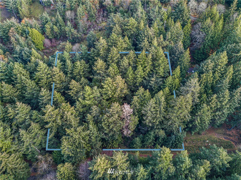 0 Smugglers Cove Road Friday Harbor, WA 98250 - Photo 3 of 16 Gallery Image 3