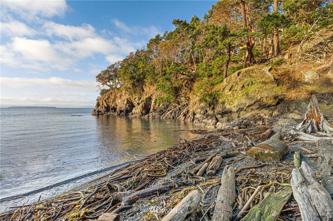 0 Smugglers Cove Road Friday Harbor, WA 98250 - Photo 5 of 16 Gallery Image 5