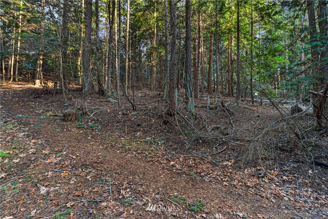 0 Smugglers Cove Road Friday Harbor, WA 98250 - Photo 6 of 16 Gallery Image 6