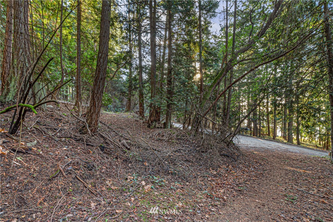 0 Smugglers Cove Road Friday Harbor, WA 98250 - Photo 7 of 16 Gallery Image 7