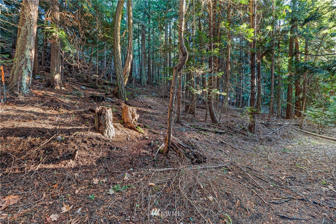 0 Smugglers Cove Road Friday Harbor, WA 98250 - Photo 8 of 16 Gallery Image 8