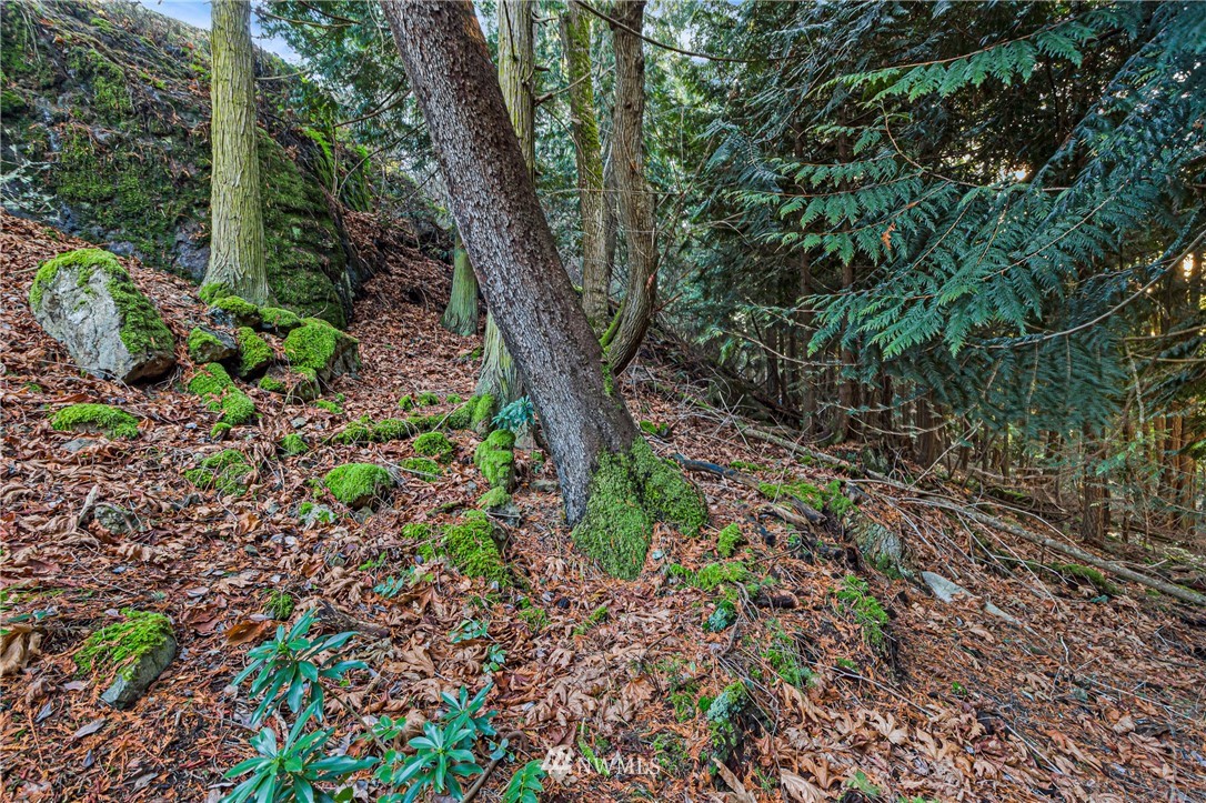 0 Smugglers Cove Road Friday Harbor, WA 98250 - Photo 10 of 16 Gallery Image 10