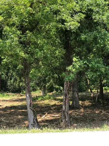 $208,000 | 12940 West Hadley Road, Homer Glen, IL 60491