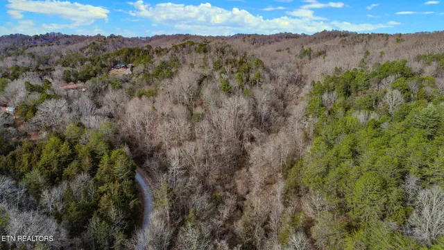 $69,000 | Lot 44 Cedarwood Circle, Newport, TN 37821