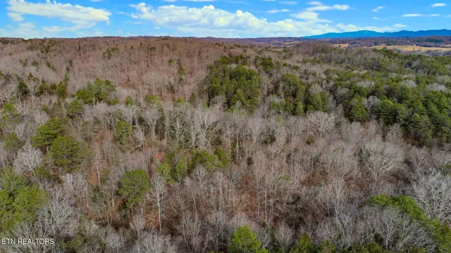 $69,000 | Lot 44 Cedarwood Circle, Newport, TN 37821