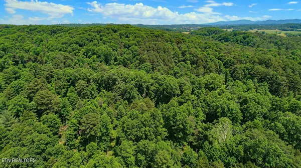 $45,000 | Lot 44 Cedarwood Circle, Newport, TN 37821