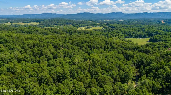 $45,000 | Lot 44 Cedarwood Circle, Newport, TN 37821