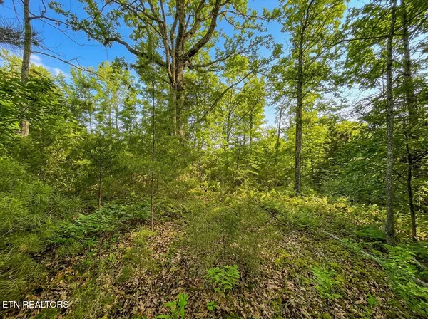 $45,000 | Lot 44 Cedarwood Circle, Newport, TN 37821