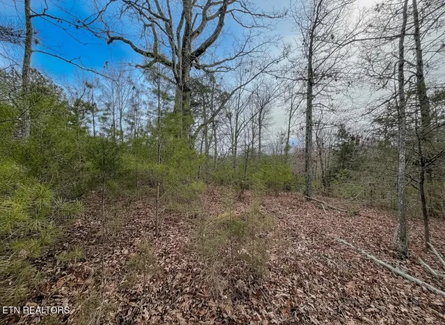 $69,000 | Lot 44 Cedarwood Circle, Newport, TN 37821