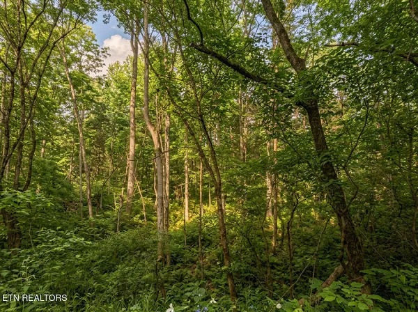 $45,000 | Lot 44 Cedarwood Circle, Newport, TN 37821