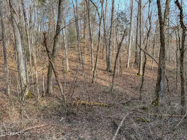 $69,000 | Lot 44 Cedarwood Circle, Newport, TN 37821