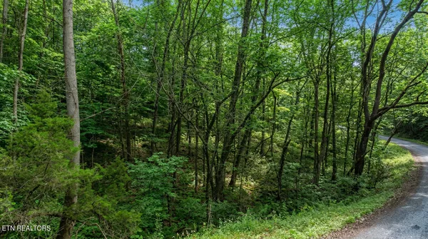 $45,000 | Lot 44 Cedarwood Circle, Newport, TN 37821