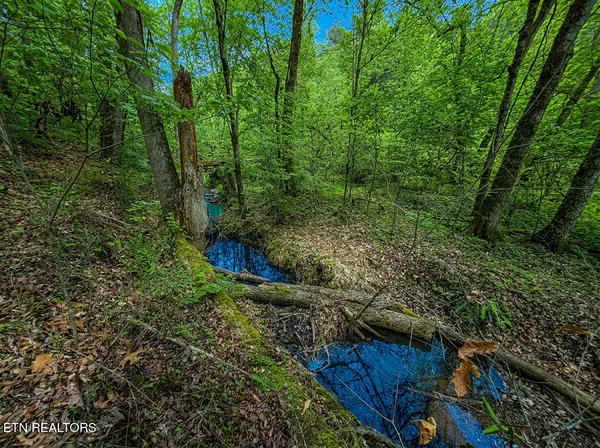 $45,000 | Lot 44 Cedarwood Circle, Newport, TN 37821