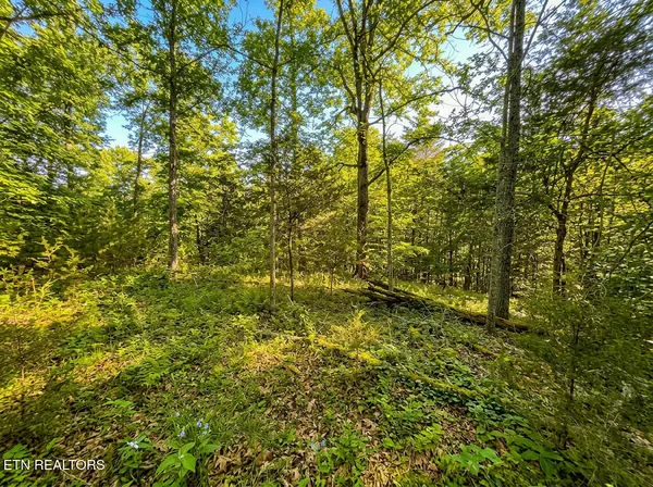 $45,000 | Lot 44 Cedarwood Circle, Newport, TN 37821