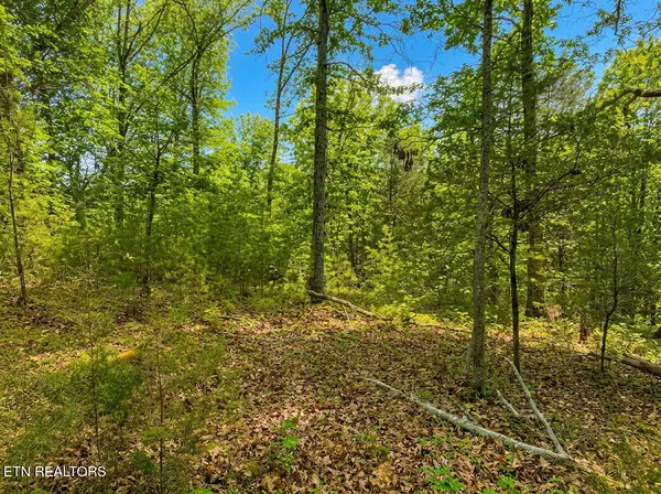 $45,000 | Lot 44 Cedarwood Circle, Newport, TN 37821