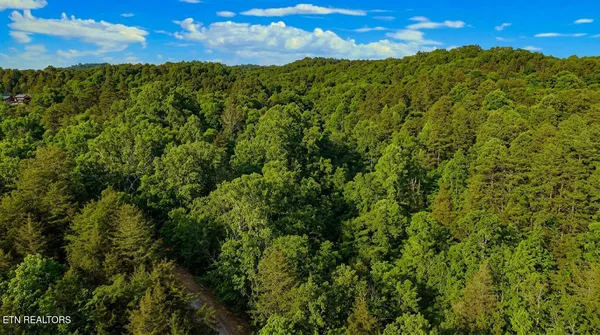 $45,000 | Lot 44 Cedarwood Circle, Newport, TN 37821