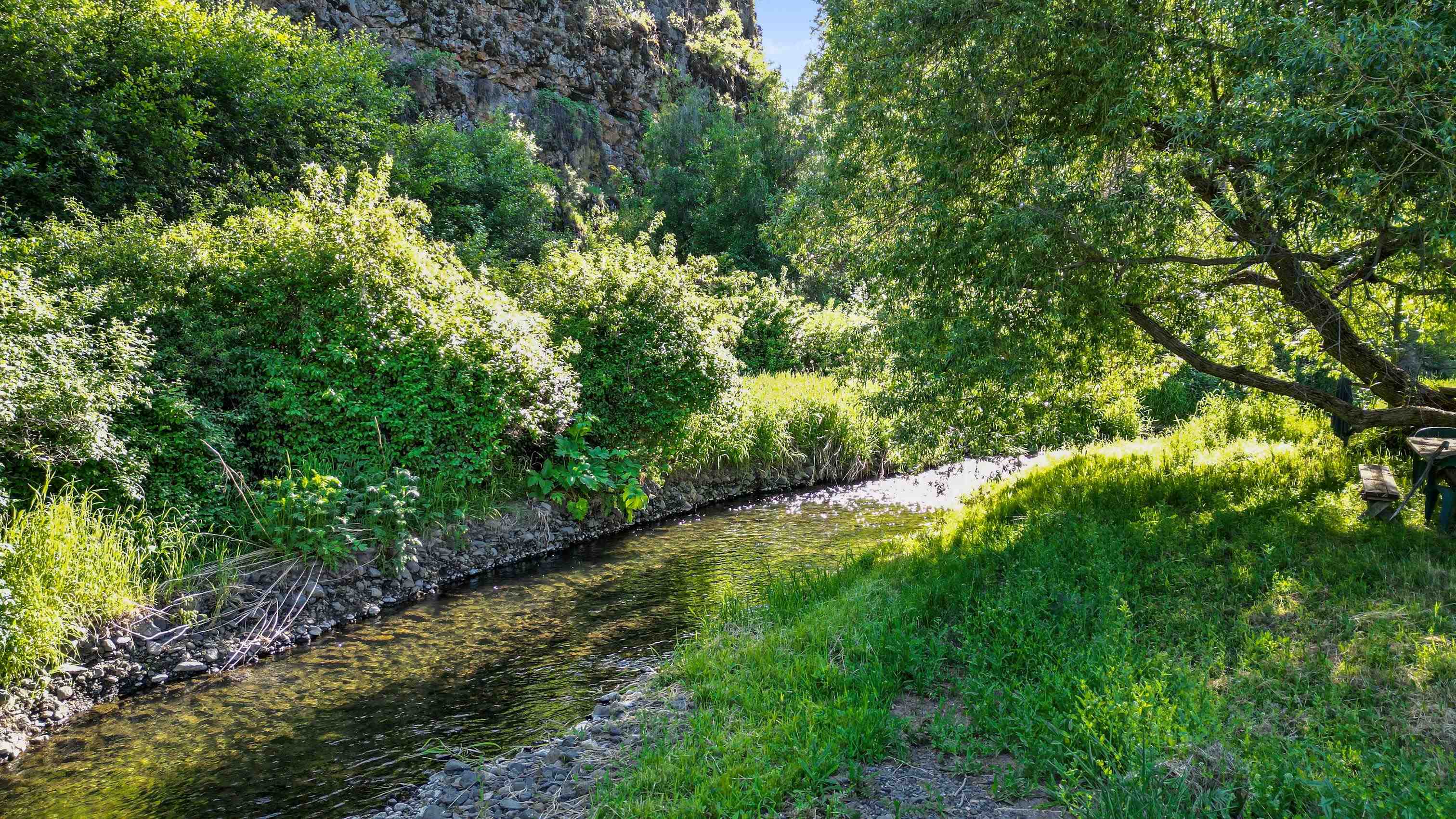 32965 Hawk Creek Ranch Road North Davenport, WA 99122 - Photo 30 of 36