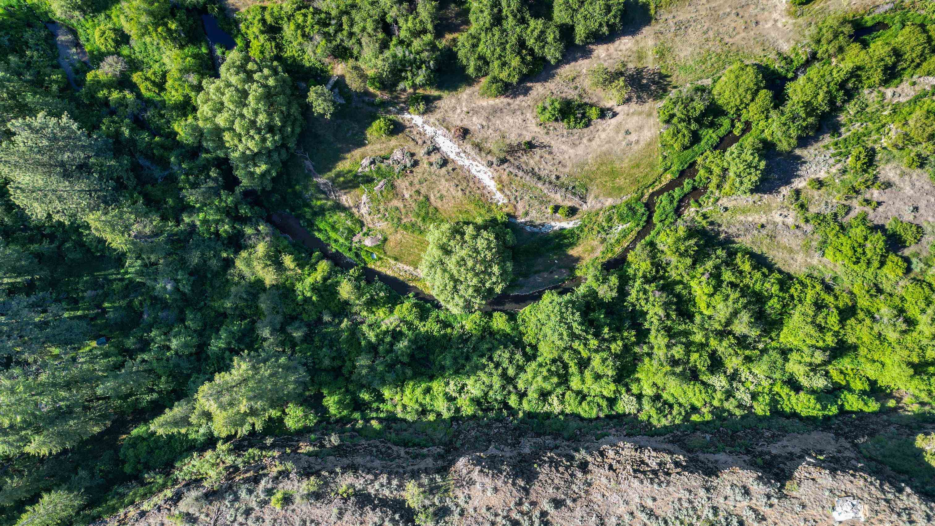 32965 Hawk Creek Ranch Road North Davenport, WA 99122 - Photo 31 of 36