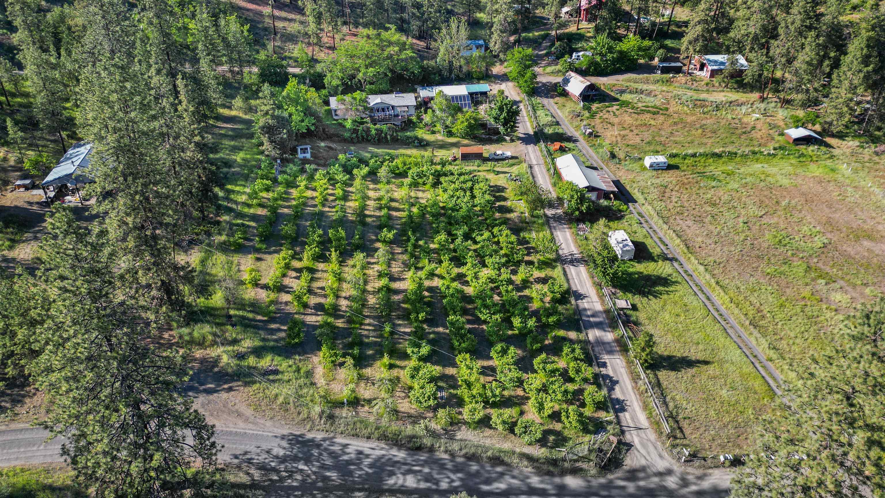 32965 Hawk Creek Ranch Road North Davenport, WA 99122 - Photo 33 of 36