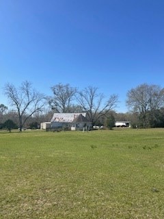 0 East Cottonwood Road Dothan, AL 36301 - Photo 4 of 5