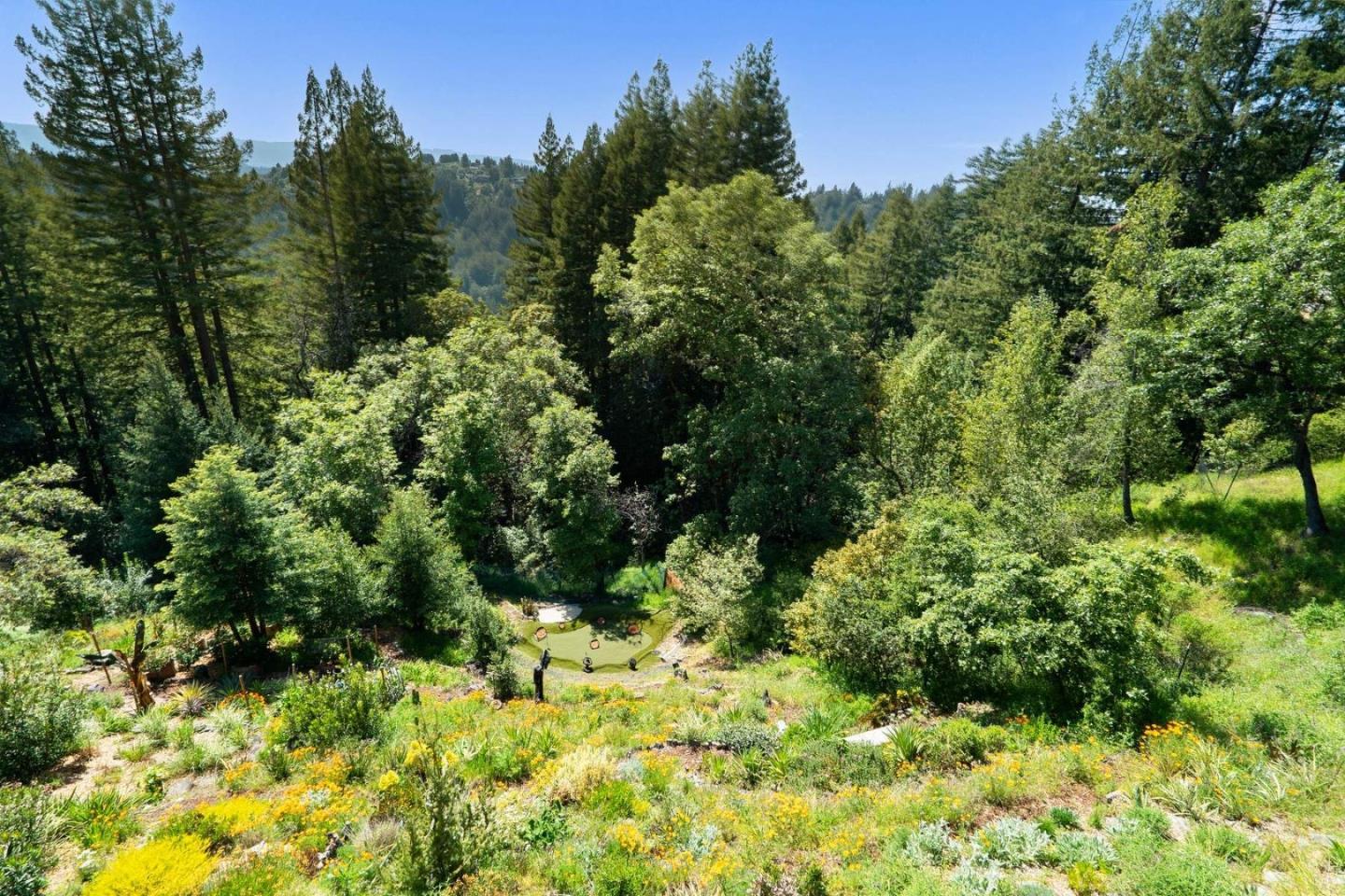 24101 Mountain Charlie Road Los Gatos, CA 95033 - Photo 42 of 67