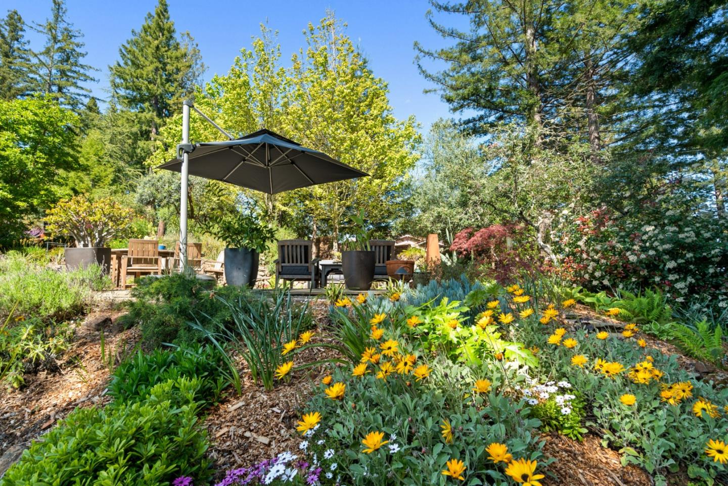 24101 Mountain Charlie Road Los Gatos, CA 95033 - Photo 44 of 59