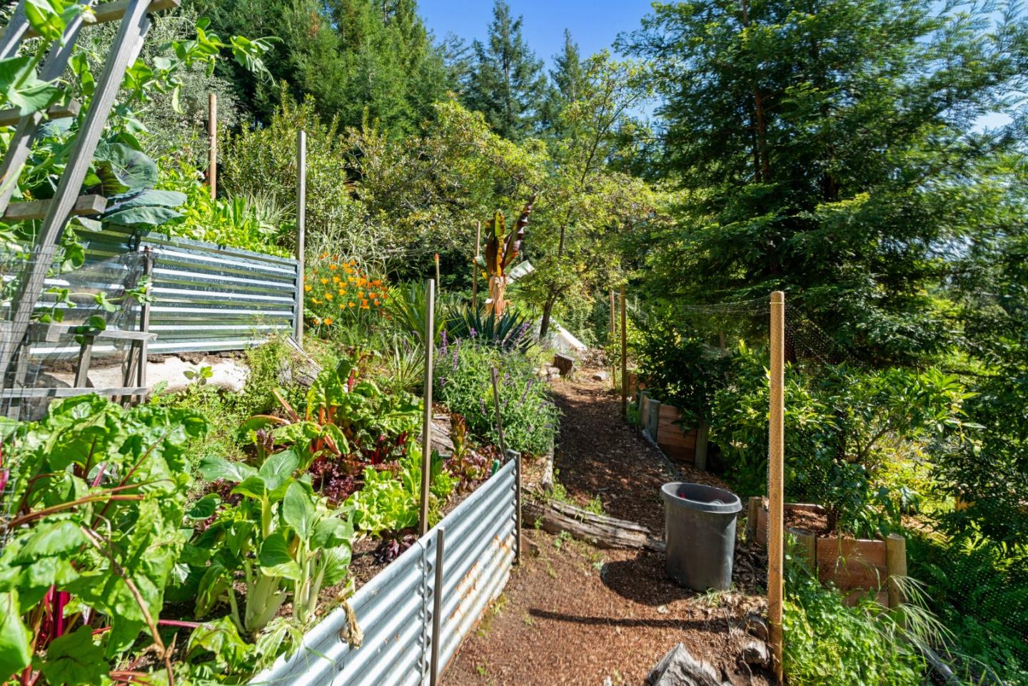 24101 Mountain Charlie Road Los Gatos, CA 95033 - Photo 47 of 59