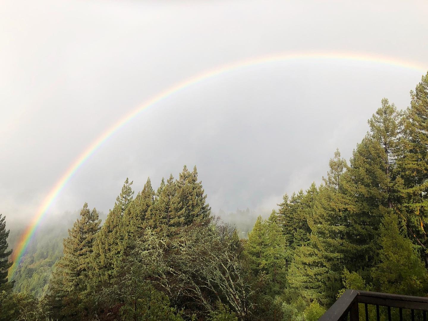 24101 Mountain Charlie Road Los Gatos, CA 95033 - Photo 53 of 59