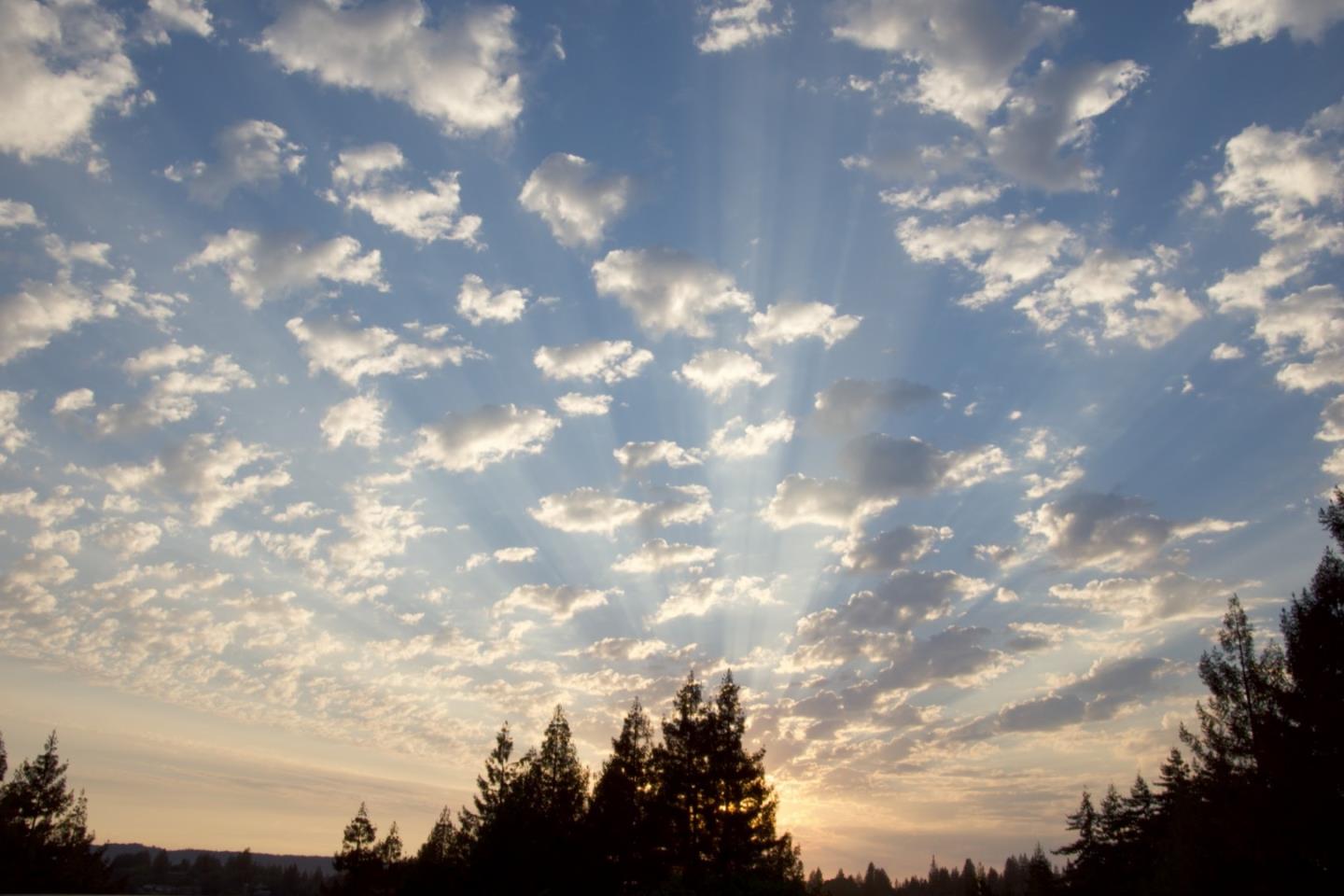 24101 Mountain Charlie Road Los Gatos, CA 95033 - Photo 54 of 59