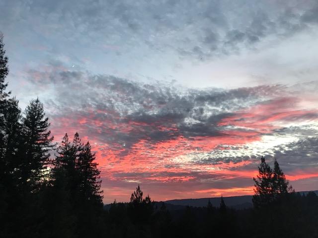 24101 Mountain Charlie Road Los Gatos, CA 95033 - Photo 55 of 59