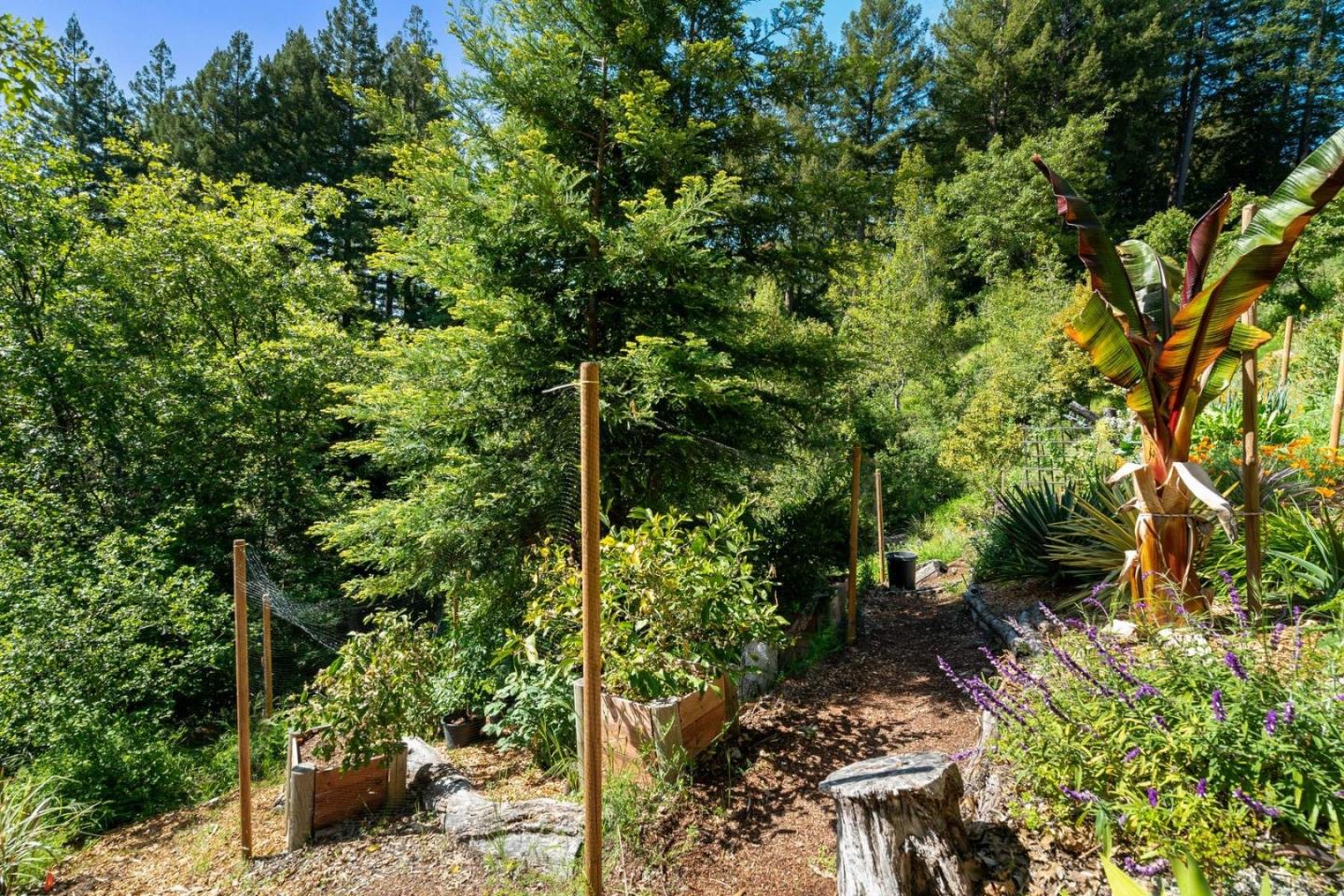 24101 Mountain Charlie Road Los Gatos, CA 95033 - Photo 56 of 67