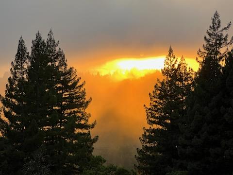 24101 Mountain Charlie Road Los Gatos, CA 95033 - Photo 56 of 59