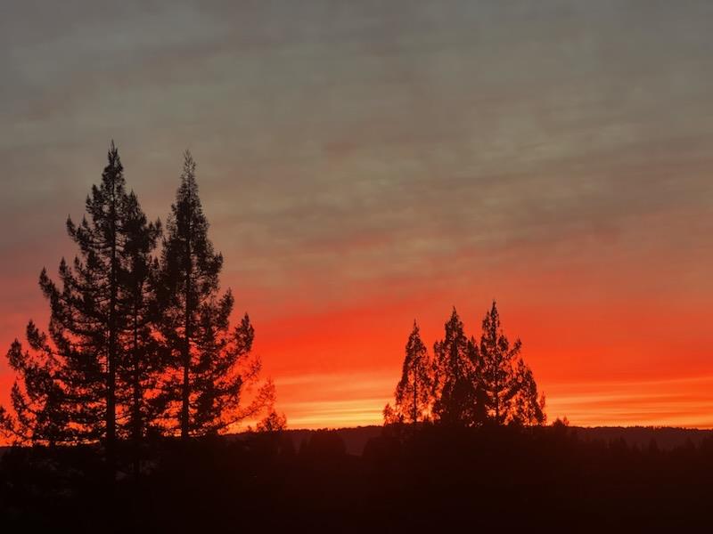 24101 Mountain Charlie Road Los Gatos, CA 95033 - Photo 57 of 59