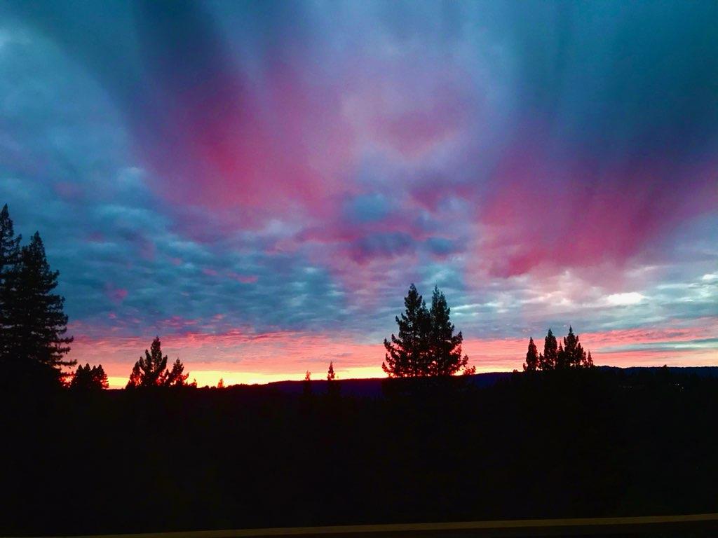 24101 Mountain Charlie Road Los Gatos, CA 95033 - Photo 58 of 59