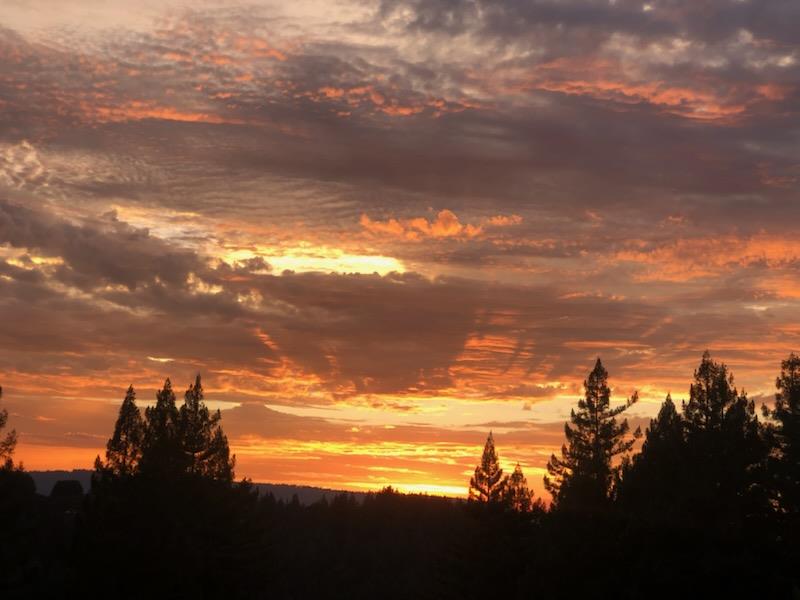 24101 Mountain Charlie Road Los Gatos, CA 95033 - Photo 6 of 59