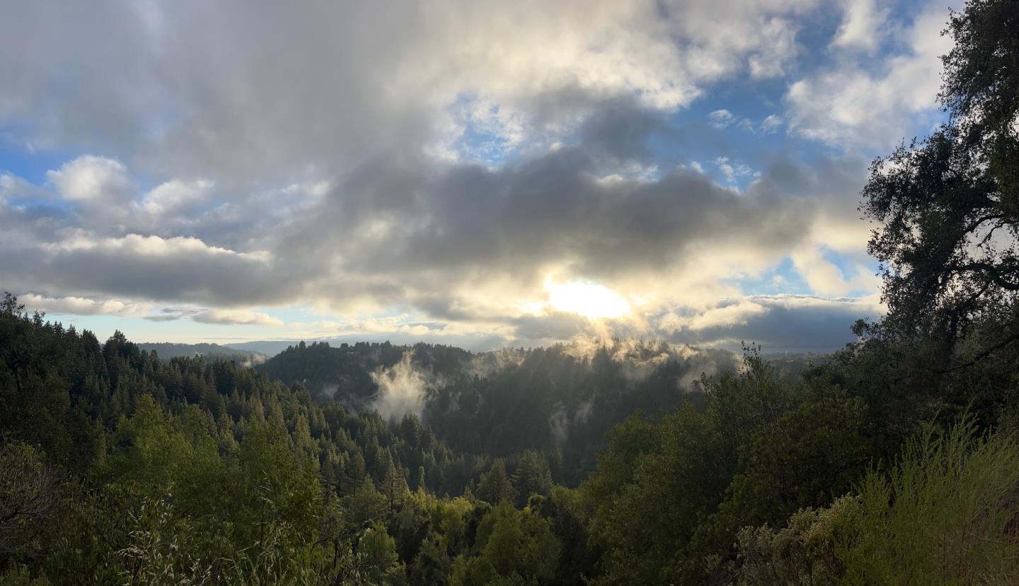 24101 Mountain Charlie Road Los Gatos, CA 95033 - Photo 7 of 59