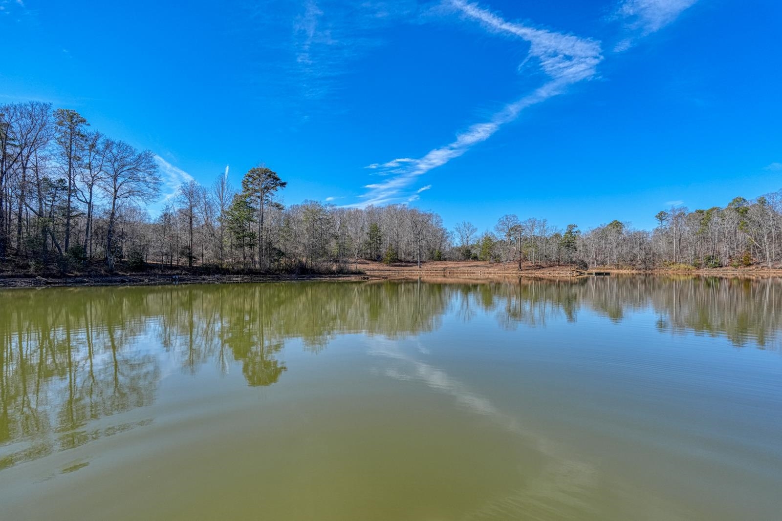 275 Michaels Court Chesnee, SC 29323 - Photo 6 of 43