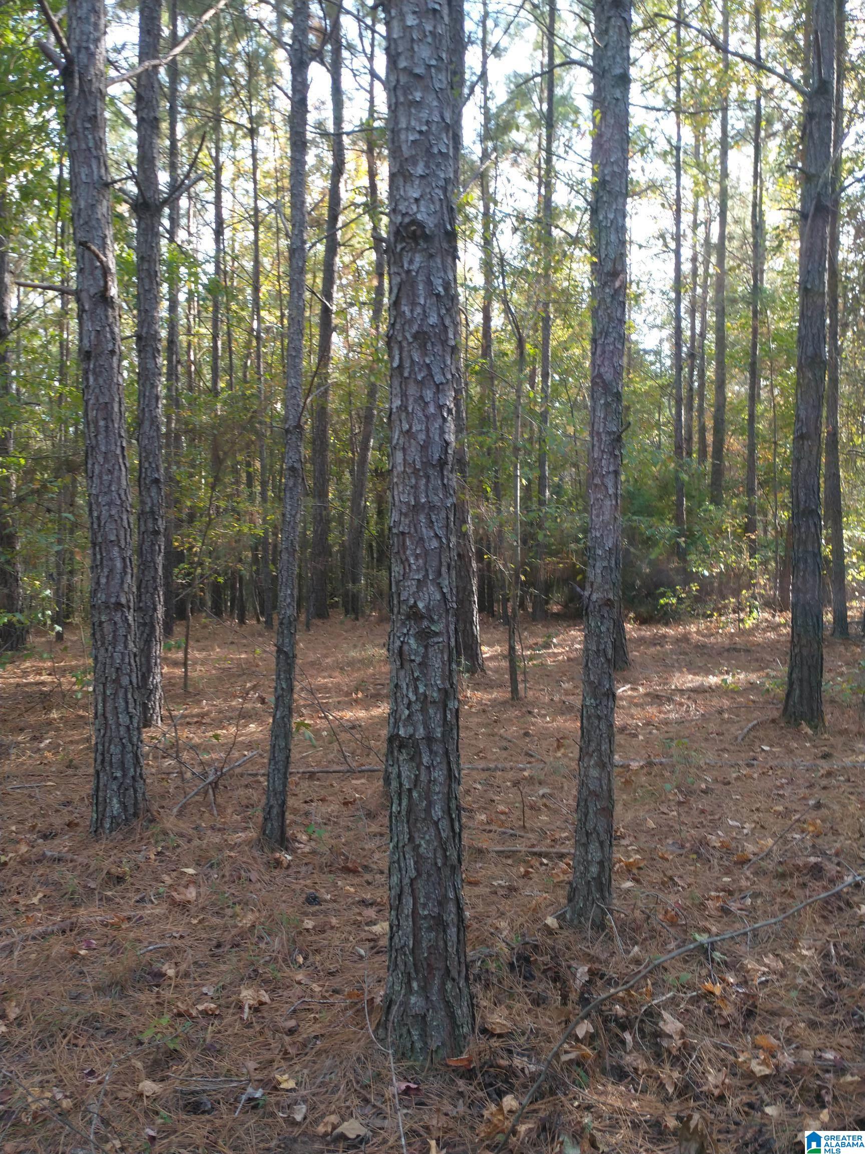 1 Ragans Lane, Unit 51 Talladega, AL 35160 - Photo 9 of 11