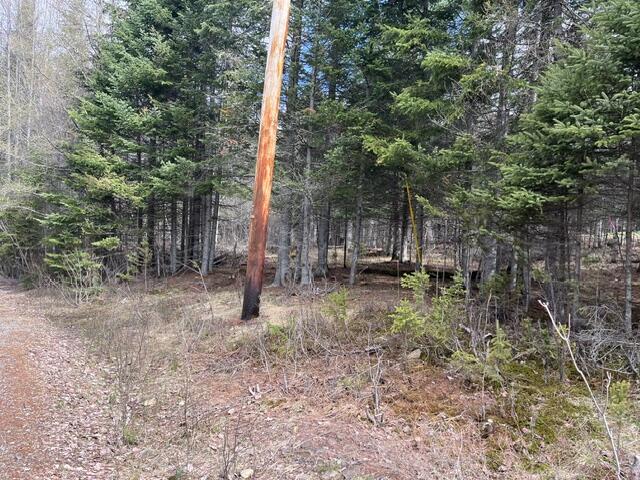 Lot 12 Doe Path Rangeley, ME 04970 - Photo 7 of 8