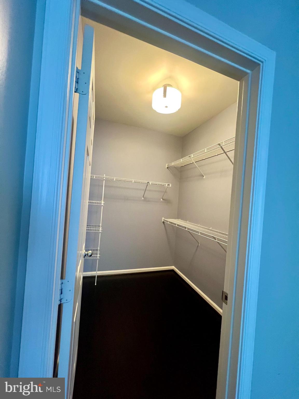 1509 North Point Drive, Unit 303 Reston, VA 20194 - Photo 22 of 44 Primary Bedroom Suite walk in closet