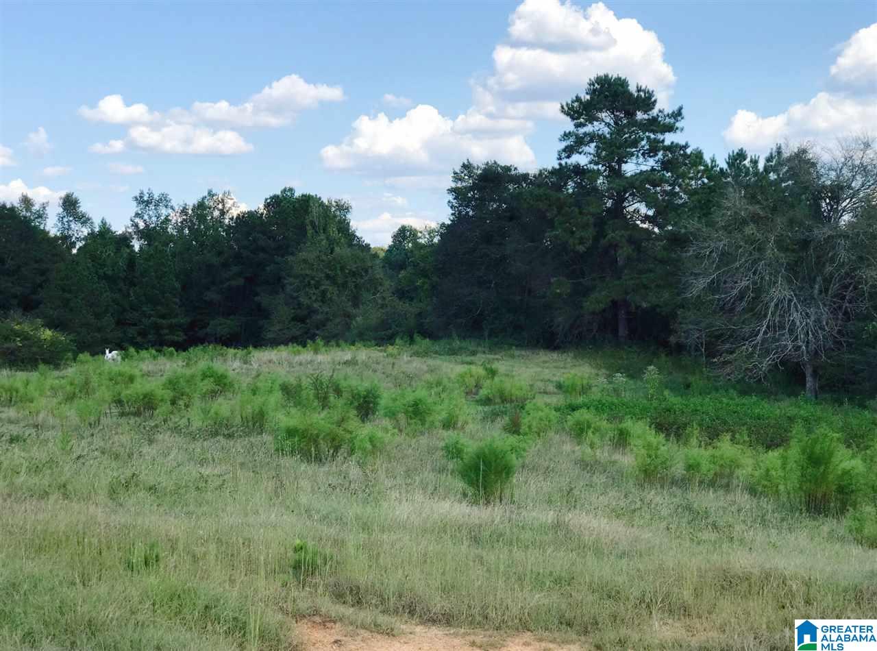 1525 Chelsea Road, Unit 1525 Columbiana, AL 35051 - Photo 17 of 33