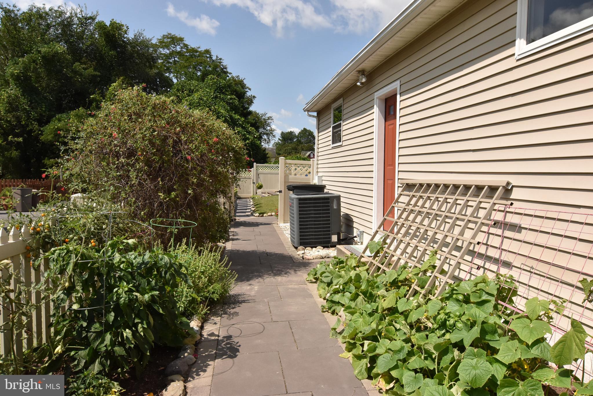 330 Behringer Avenue Milton, DE 19968 - Photo 24 of 49 Room for a Garden on the Side of Home