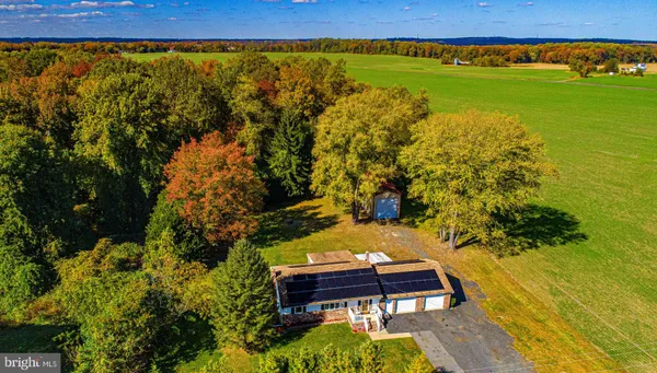 a view of a bench in the garden
