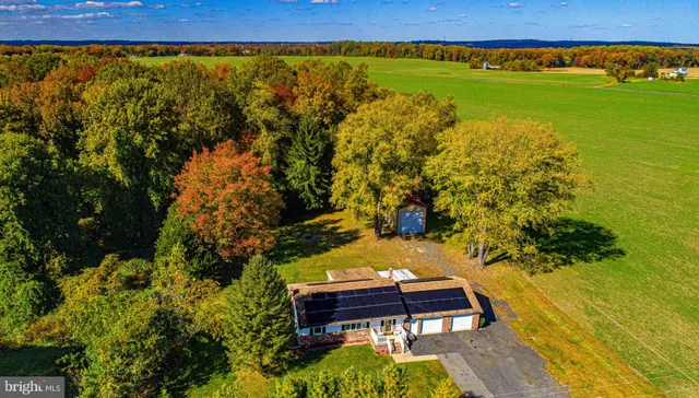 a view of a bench in the garden