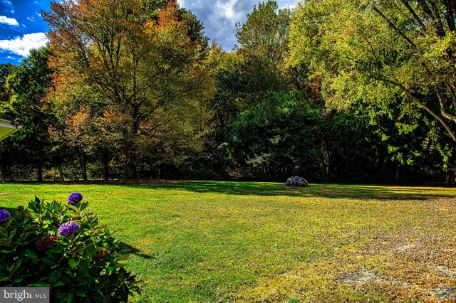 a view of a swimming pool and a yard