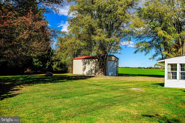 a view of a field of grass and trees