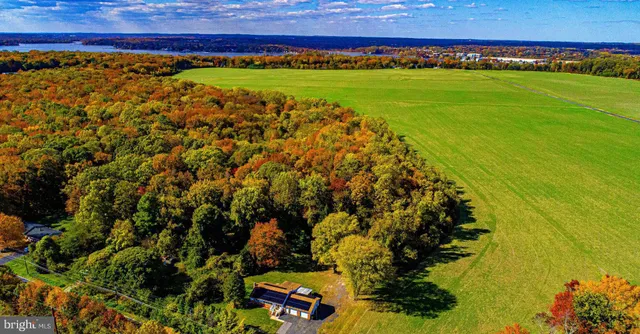 a view of a large yard with an outdoor space